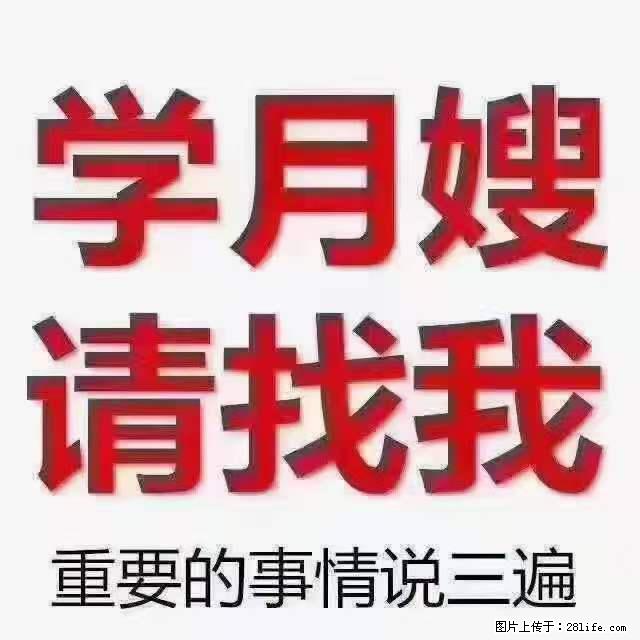 为什么要学习月嫂，育婴师？ - 其他广告 - 广告专区 - 迪庆分类信息 - 迪庆28生活网 diqing.28life.net