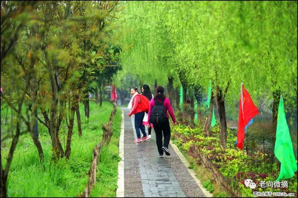 【春天，广西桂林灌阳县向您发出邀请！】江口老街又逢春 - 游山玩水 - 迪庆生活社区 - 迪庆28生活网 diqing.28life.net