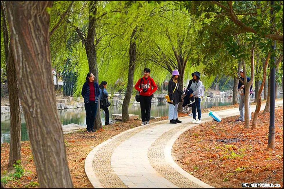 【春天，广西桂林灌阳县向您发出邀请！】江口老街又逢春 - 游山玩水 - 迪庆生活社区 - 迪庆28生活网 diqing.28life.net