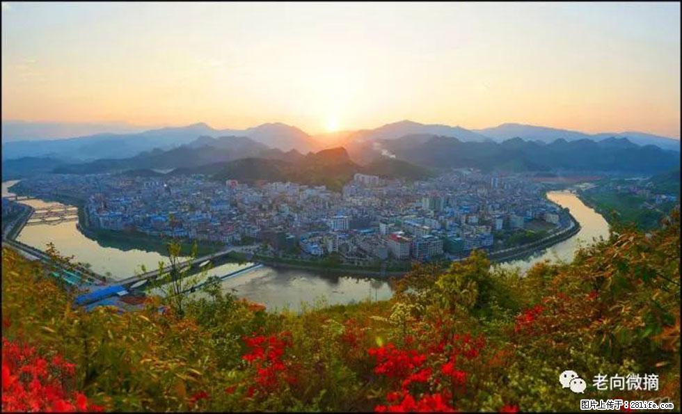 【春天，广西桂林灌阳县向您发出邀请！】登麒麟山，相约映山红 - 游山玩水 - 迪庆生活社区 - 迪庆28生活网 diqing.28life.net