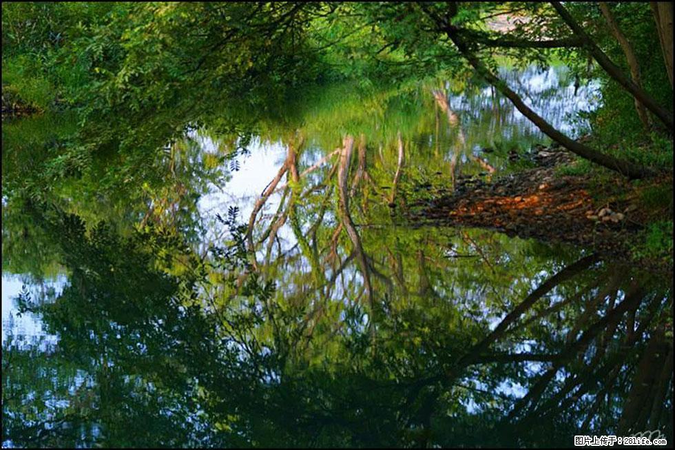 【春天，广西桂林灌阳县向您发出邀请！】熊家寨湿地公园 - 游山玩水 - 迪庆生活社区 - 迪庆28生活网 diqing.28life.net