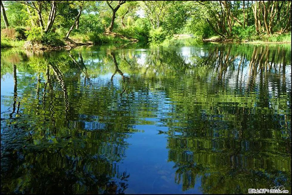 【春天，广西桂林灌阳县向您发出邀请！】熊家寨湿地公园 - 游山玩水 - 迪庆生活社区 - 迪庆28生活网 diqing.28life.net