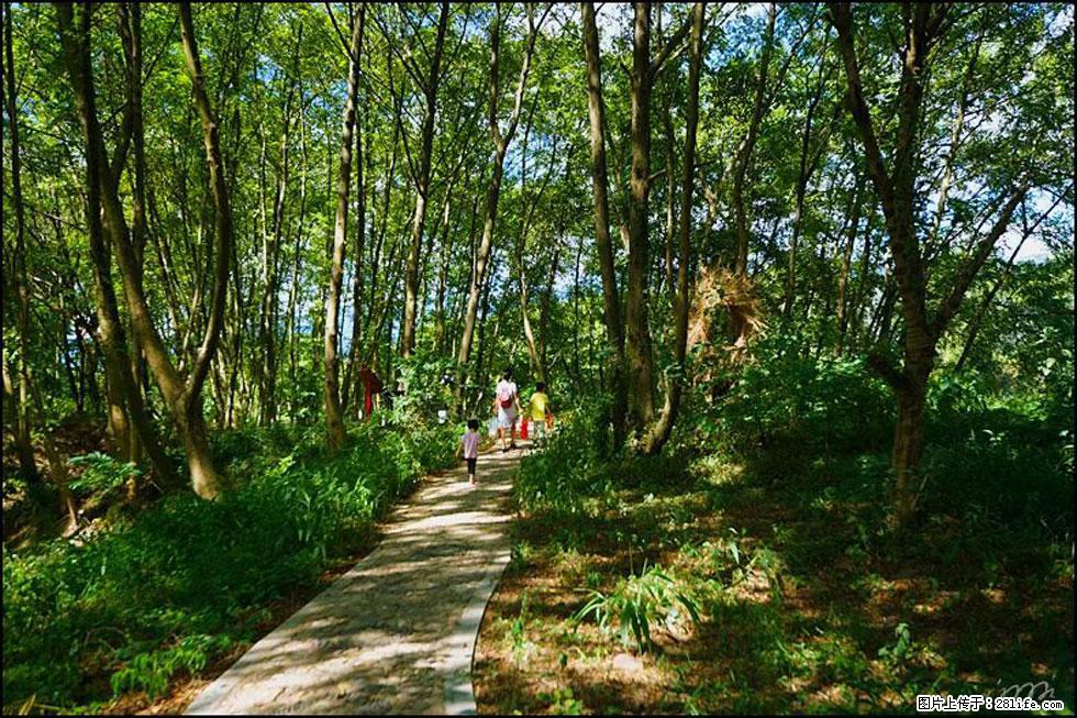 【春天，广西桂林灌阳县向您发出邀请！】熊家寨湿地公园 - 游山玩水 - 迪庆生活社区 - 迪庆28生活网 diqing.28life.net