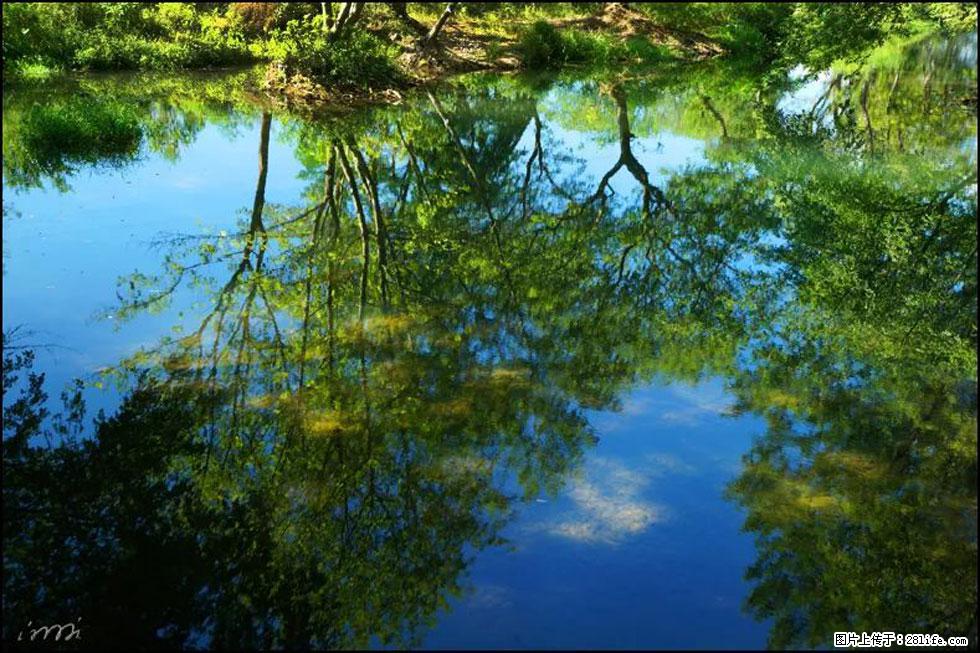 【春天，广西桂林灌阳县向您发出邀请！】熊家寨湿地公园 - 游山玩水 - 迪庆生活社区 - 迪庆28生活网 diqing.28life.net