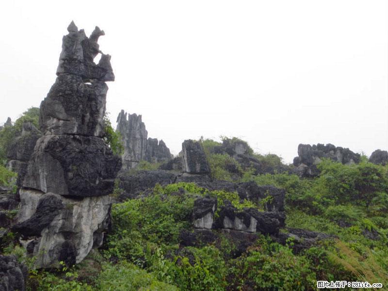 桂林旅游名城景点:灌阳文市石林 - 游山玩水 - 迪庆生活社区 - 迪庆28生活网 diqing.28life.net
