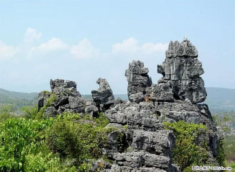 桂林旅游名城景点:灌阳文市石林 - 游山玩水 - 迪庆生活社区 - 迪庆28生活网 diqing.28life.net