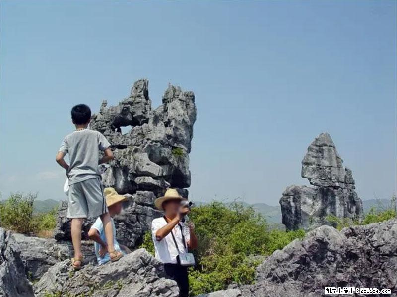 桂林旅游名城景点:灌阳文市石林 - 游山玩水 - 迪庆生活社区 - 迪庆28生活网 diqing.28life.net