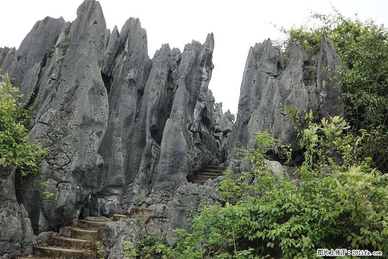 桂林旅游名城景点:灌阳文市石林 - 游山玩水 - 迪庆生活社区 - 迪庆28生活网 diqing.28life.net