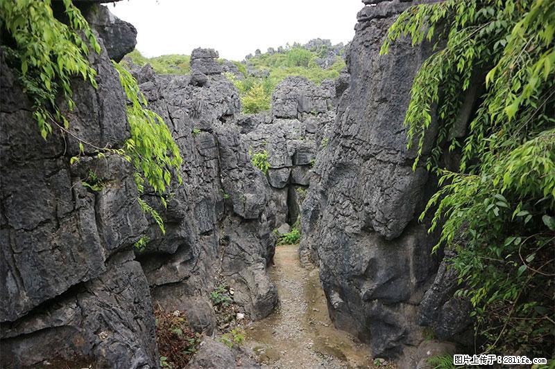 桂林旅游名城景点:灌阳文市石林 - 游山玩水 - 迪庆生活社区 - 迪庆28生活网 diqing.28life.net