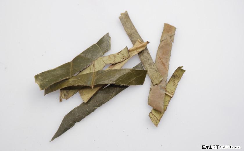 苦丁茶有哪些功效和作用 - 生活百科 - 迪庆生活社区 - 迪庆28生活网 diqing.28life.net