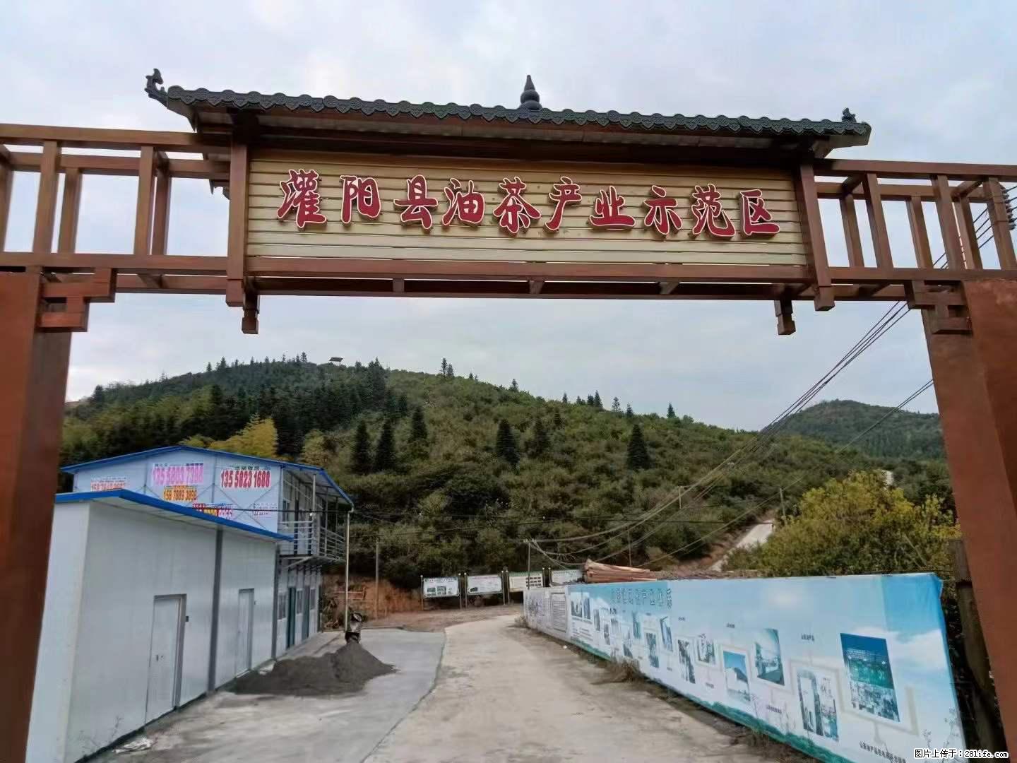 【灌阳县油茶产业示范区】一个有着充实的精神生活的人，对待身外之物自会有一种淡泊的态度 - 土特产 - 饮食特产 - 迪庆分类信息 - 迪庆28生活网 diqing.28life.net