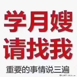 为什么要学习月嫂，育婴师？ - 迪庆28生活网 diqing.28life.net