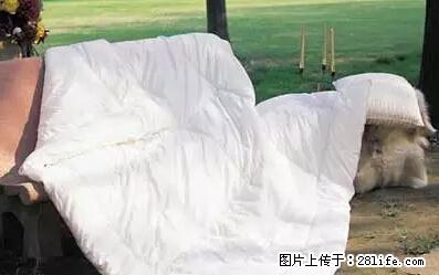 被子有异味？只要这样做，比晒太阳还强100倍！ - 家居生活 - 迪庆生活社区 - 迪庆28生活网 diqing.28life.net