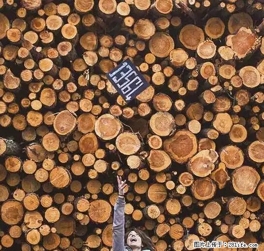 辞掉工作周游世界？现在他们在洗厕所…… - 游山玩水 - 迪庆生活社区 - 迪庆28生活网 diqing.28life.net