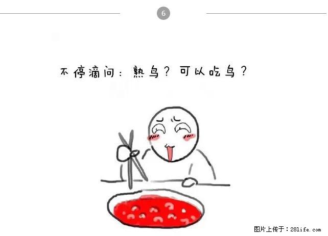 千万不要和这9种哈卵一起吃火锅！ - 美食天地 - 迪庆生活社区 - 迪庆28生活网 diqing.28life.net