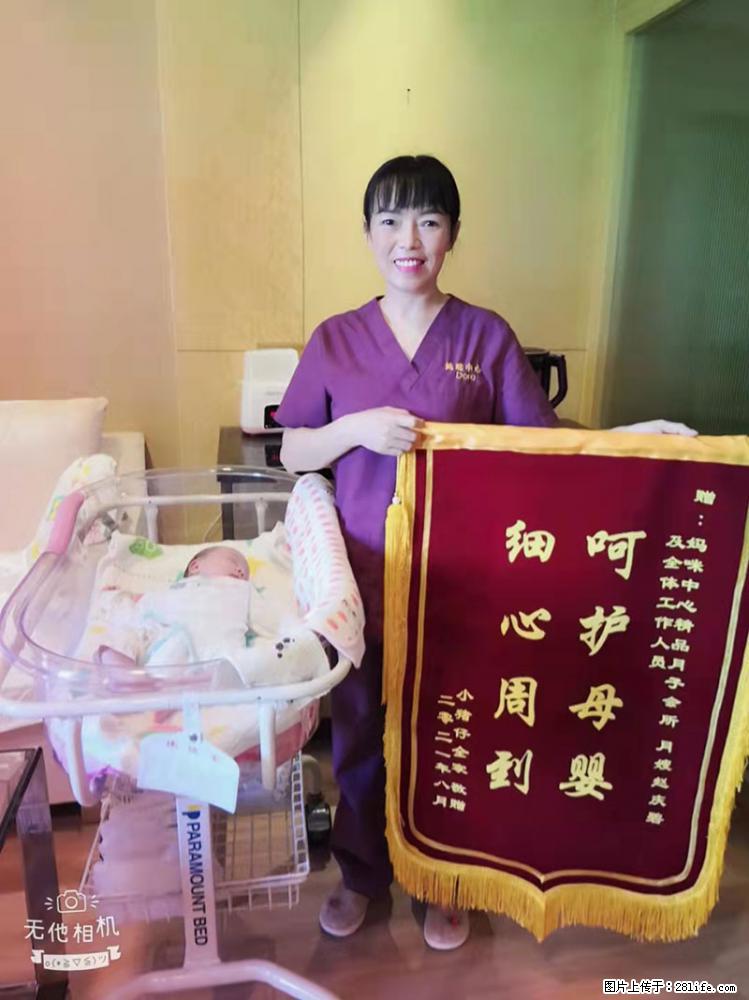 上海高端月子会所招新手月嫂，零基础带教，包吃住 - 职场交流 - 迪庆生活社区 - 迪庆28生活网 diqing.28life.net