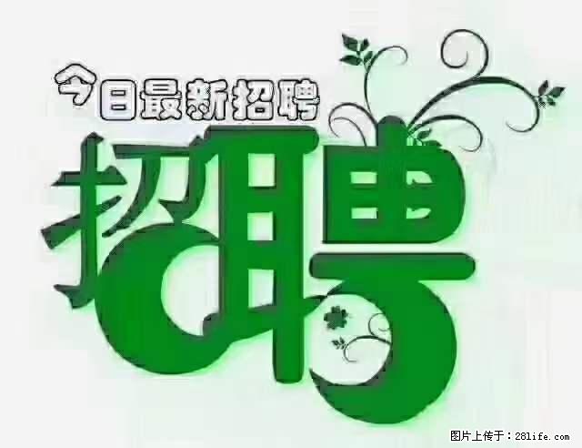上海隔离酒店招人：55岁以下 男女不限 - 职场交流 - 迪庆生活社区 - 迪庆28生活网 diqing.28life.net