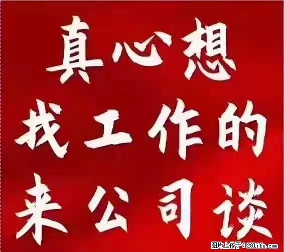 【上海】国企，医院招两名男保安，55岁以下，身高1.7米以上，无犯罪记录不良嗜好 - 职场交流 - 迪庆生活社区 - 迪庆28生活网 diqing.28life.net