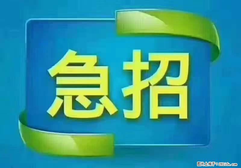 招出纳8000元/月，无证可以，要有相关经验，上海五险一金，包住，包工作餐，做六休一。 - 职场交流 - 迪庆生活社区 - 迪庆28生活网 diqing.28life.net