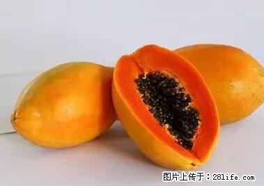 晕车、脚气、牙齿变黄、皮肤粗糙？学会这些三分钟搞定！ - 迪庆生活资讯 - 迪庆28生活网 diqing.28life.net