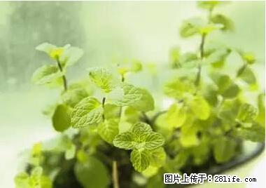 晕车、脚气、牙齿变黄、皮肤粗糙？学会这些三分钟搞定！ - 迪庆生活资讯 - 迪庆28生活网 diqing.28life.net