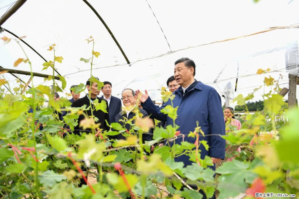 习近平赴广西考察调研 - 迪庆生活资讯 - 迪庆28生活网 diqing.28life.net