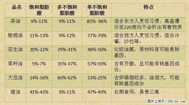 揭秘茶油的5大核心营养成分！被称为人体健康的“守护盾”！ - 迪庆生活资讯 - 迪庆28生活网 diqing.28life.net