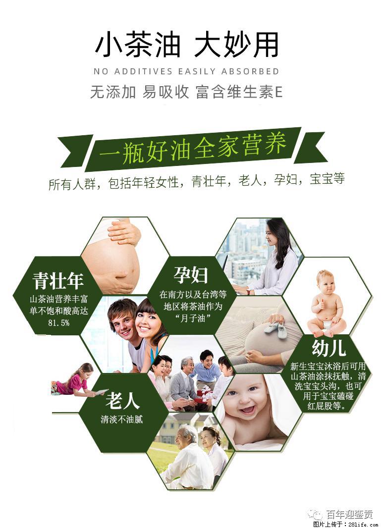 世界没有真相，只有认知，最好的食用油是中国的山茶油！ - 迪庆生活资讯 - 迪庆28生活网 diqing.28life.net