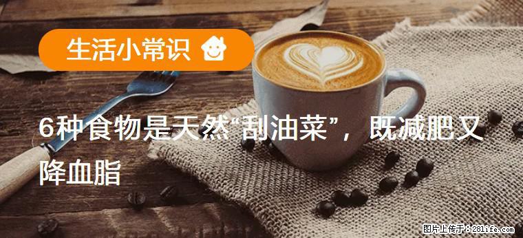 【生活小常识】6种食物是天然“刮油菜”，既减肥又降血脂 - 迪庆生活资讯 - 迪庆28生活网 diqing.28life.net