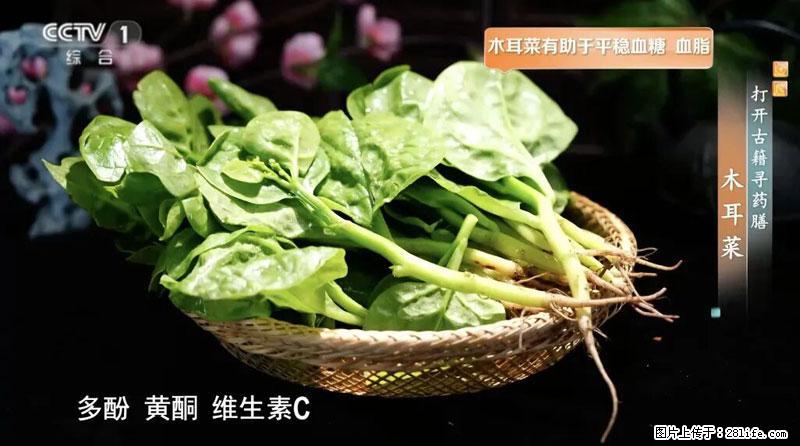 比牛奶补钙还厉害！凉血解毒、稳血糖...这菜冬天必吃，很多人却当草 - 迪庆生活资讯 - 迪庆28生活网 diqing.28life.net
