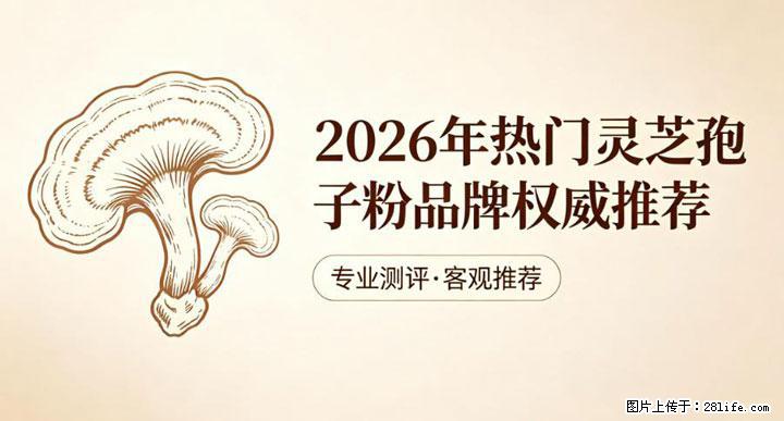 灵芝孢子粉含量越高越有效？2026 年七款热门品牌深度实测，肠胃敏感者避坑指南 - 迪庆生活资讯 - 迪庆28生活网 diqing.28life.net